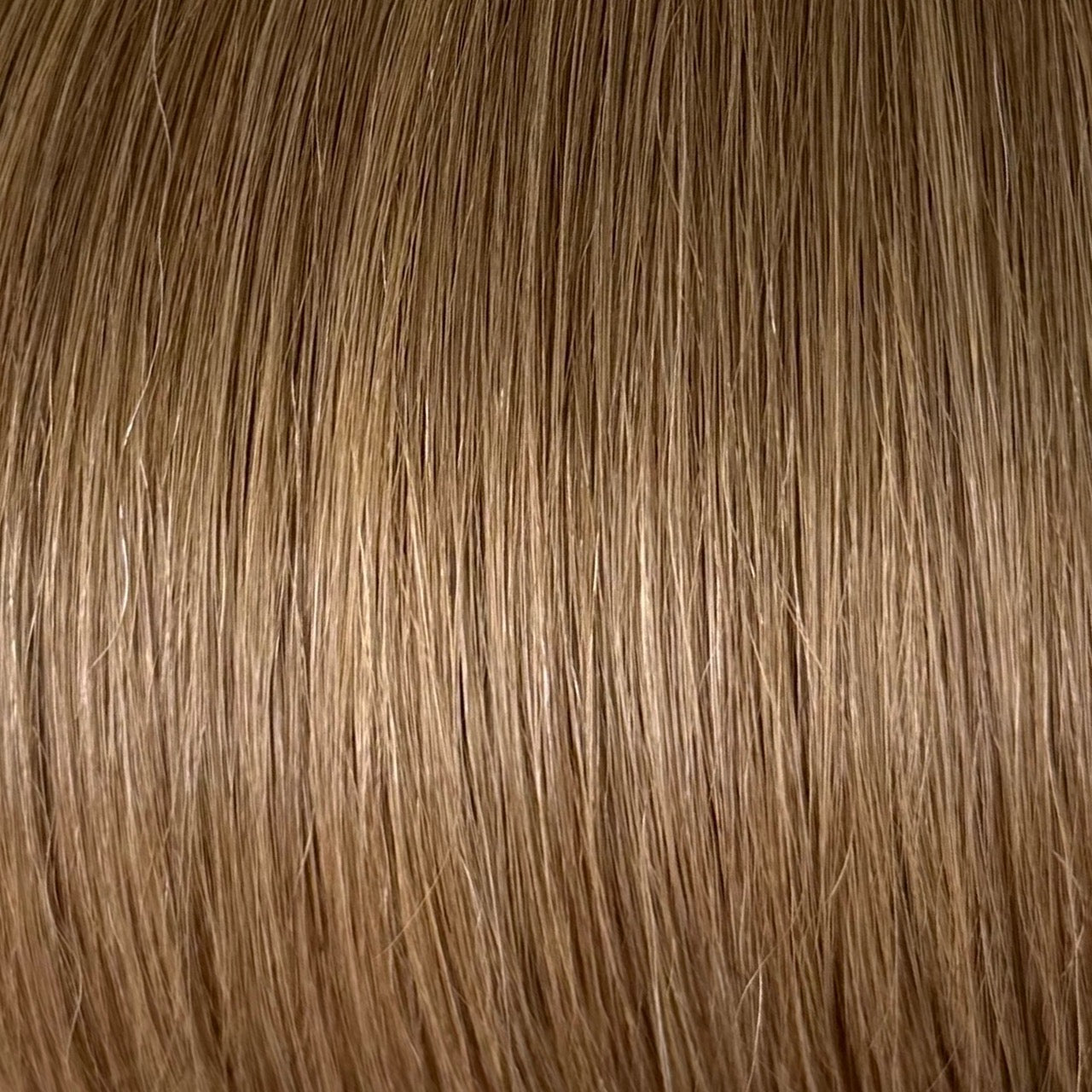 Secret Weft Hair Extensions - 22” 50g